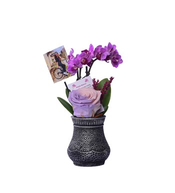 Vase in Ottoman Serisi Mini Mor Orkide ve Pembe Lila Solmayan Gül Kişiye Özel