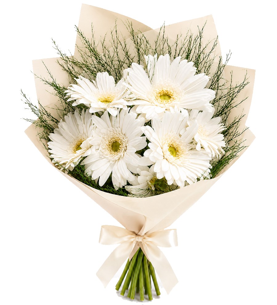Beyaz Gerbera Buketi