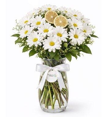 Lilyana Flowers - Limon Detaylı Beyaz Papatya Vazo Aranjmanı
