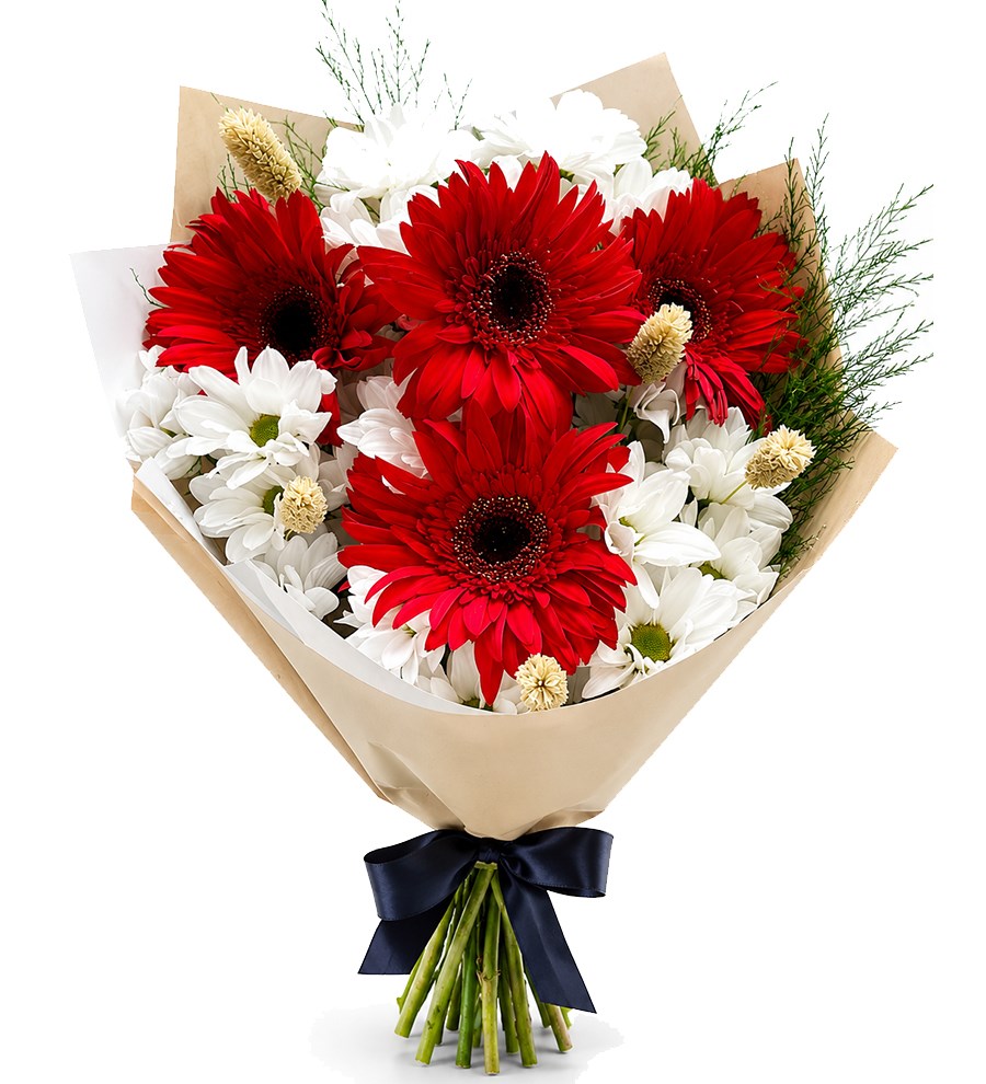 Beyaz Papatya ve Kırmızı Gerbera Buketi