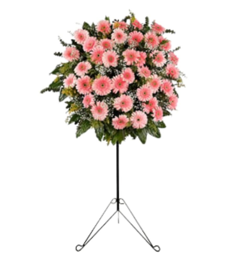 Pembe Gerbera Ferforje Aranjmanı