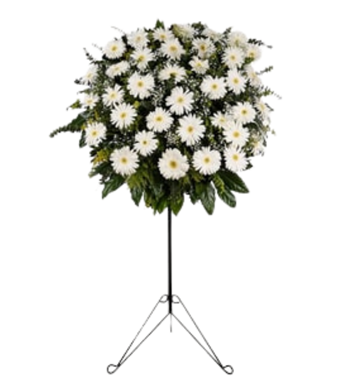 Beyaz Gerbera Ferforje Aranjmanı