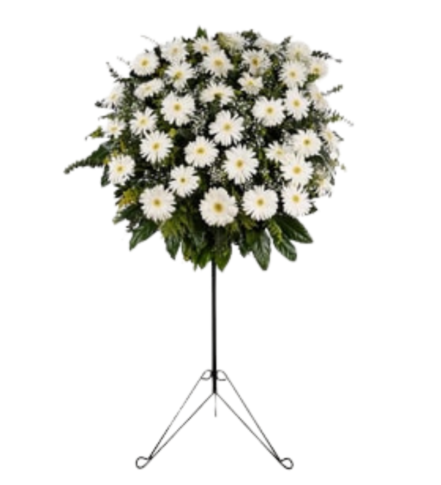 Beyaz Gerbera Ferforje Aranjmanı