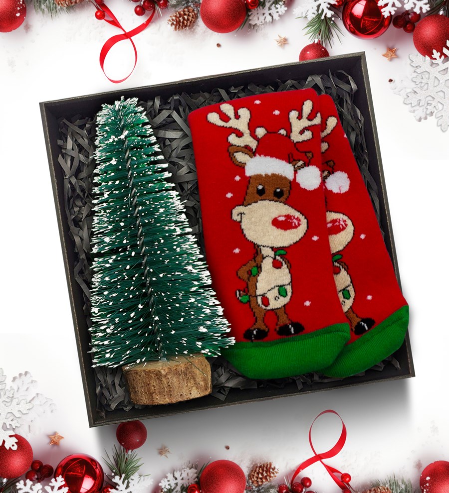 Yılbaşı Temalı Kişiye Özel  Mini Çam Ağacı & Yılbaşı Temalı Çorap Hediye Seti