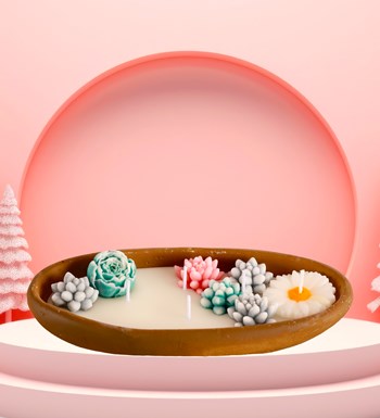 %100 Doğal Soya Wax Dekoratif Saksıda Sukulent Tasarım Mum