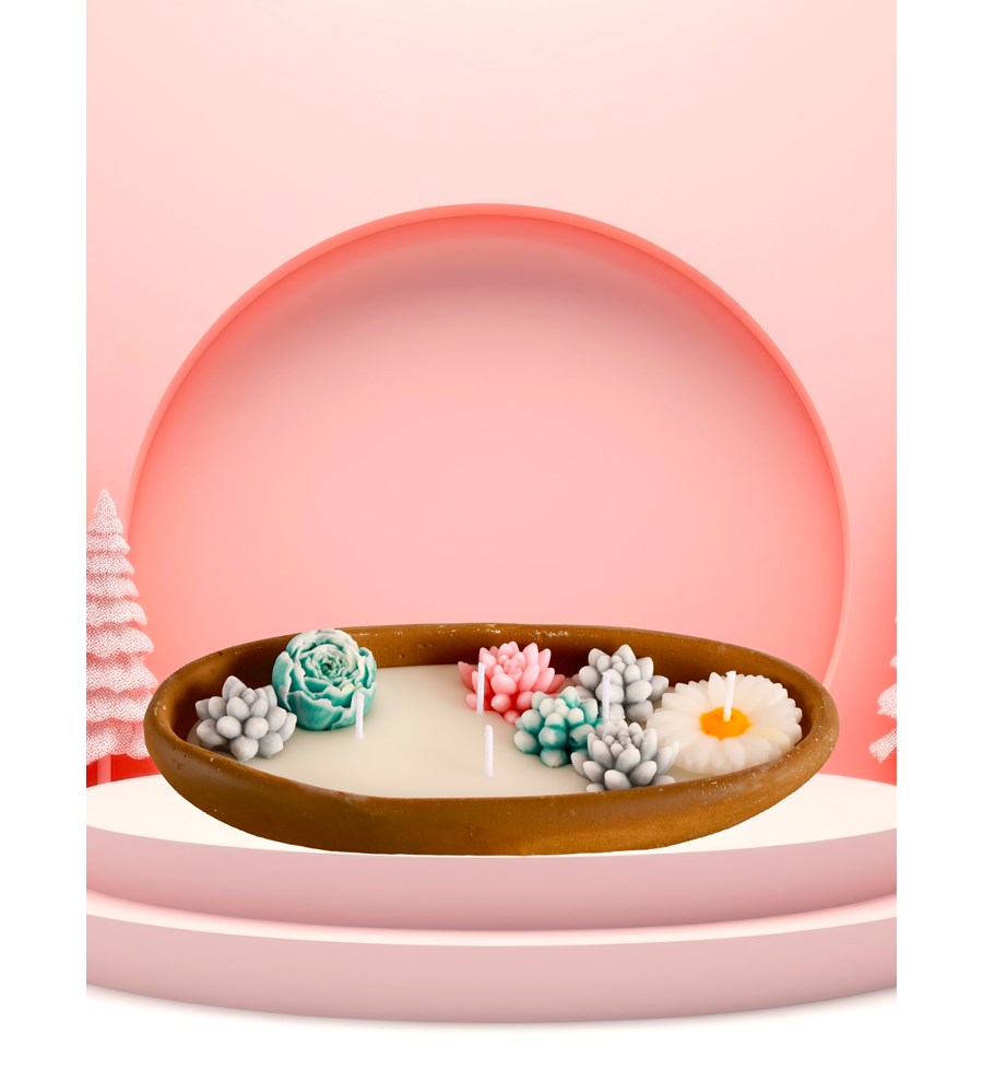 %100 Doğal Soya Wax Dekoratif Saksıda Sukulent Tasarım Mum