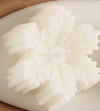 %100 Doğal Soya Wax Dekoratif Saksıda Kar Tanesi Mum