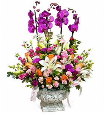 Lilyana Flowers - Deluxe Magic Purple Orkide