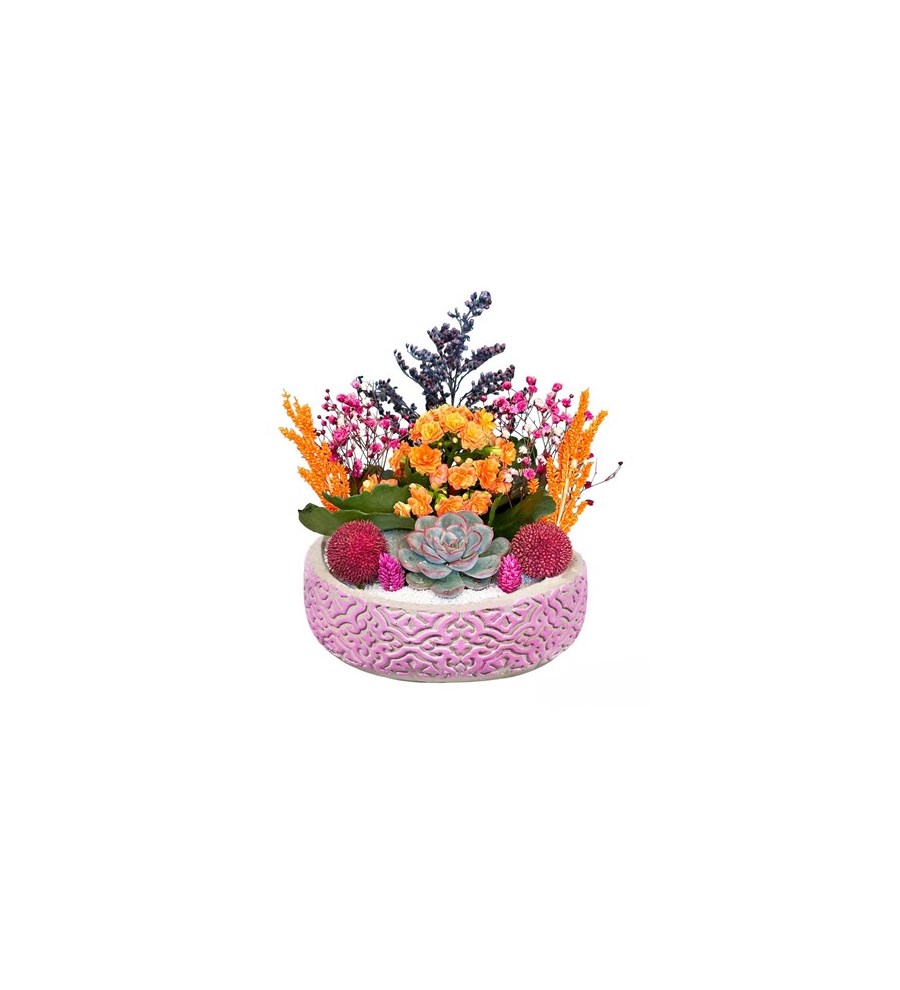 Kalanchoe Ve Echeveria Desenli Beton Saksıda