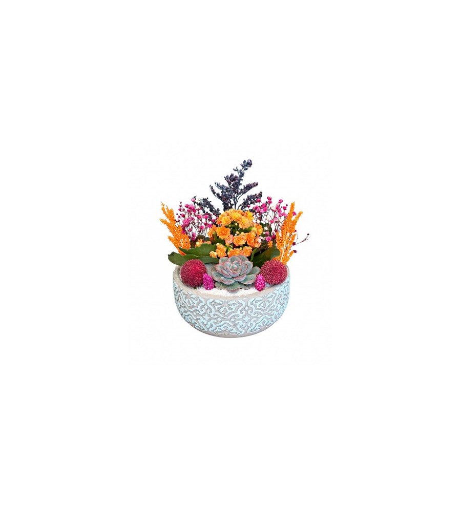 Desenli Beton Saksıda Kalanchoe ve Echeveria