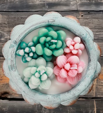Doğal Soya Wax Sweet Candy Serisi Mix Sukulent Dekorafif Mum