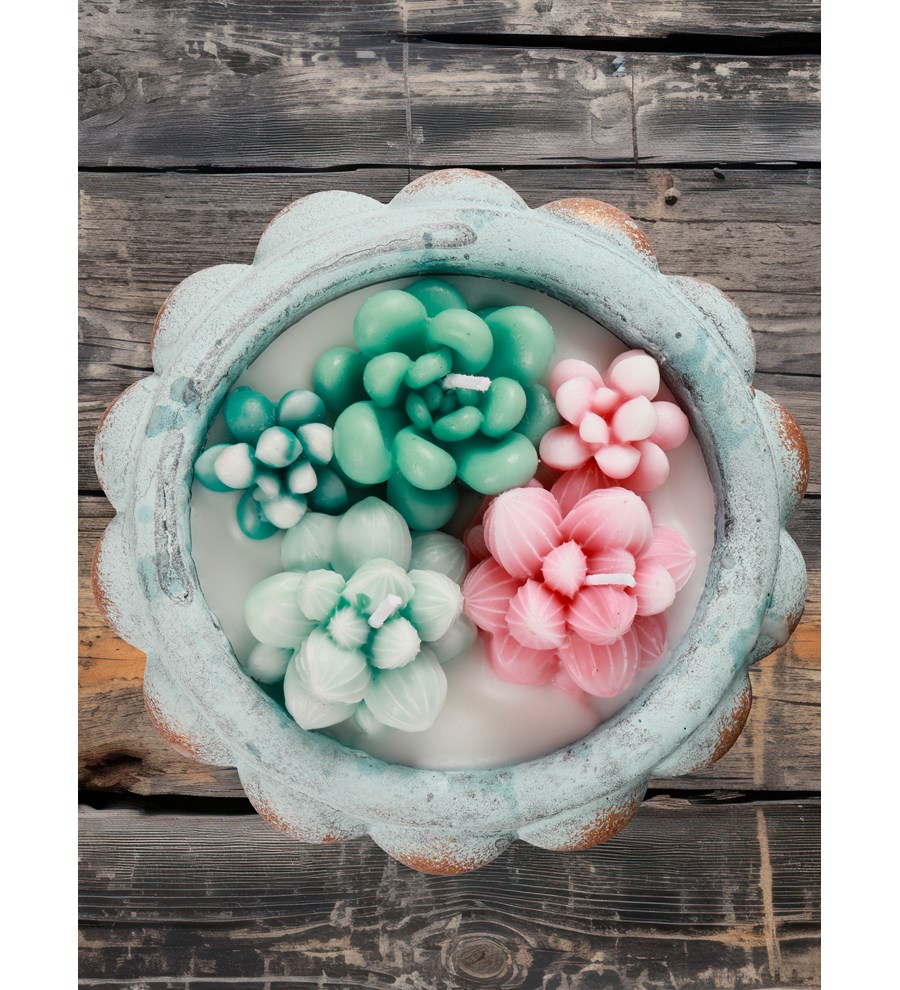 Doğal Soya Wax Sweet Candy Serisi Mix Sukulent Dekorafif Mum
