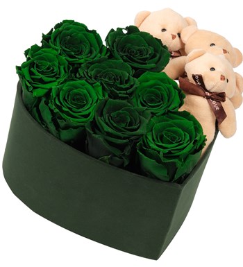 Green Box Solmayan Yeşil Gül ve Ayıcık