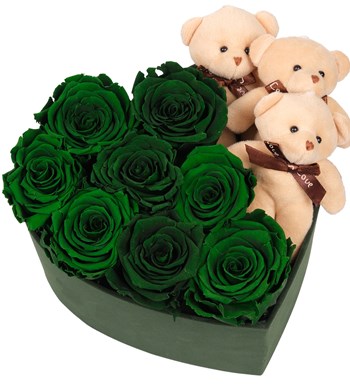 Green Box Solmayan Yeşil Gül ve Ayıcık