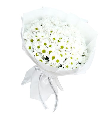 Dev Papatya Buketi – Daisy