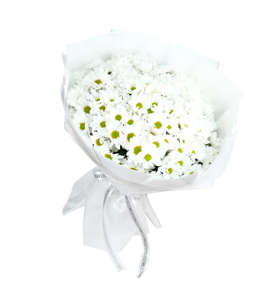 Dev Papatya Buketi – Daisy