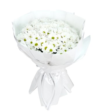 Dev Papatya Buketi – Daisy