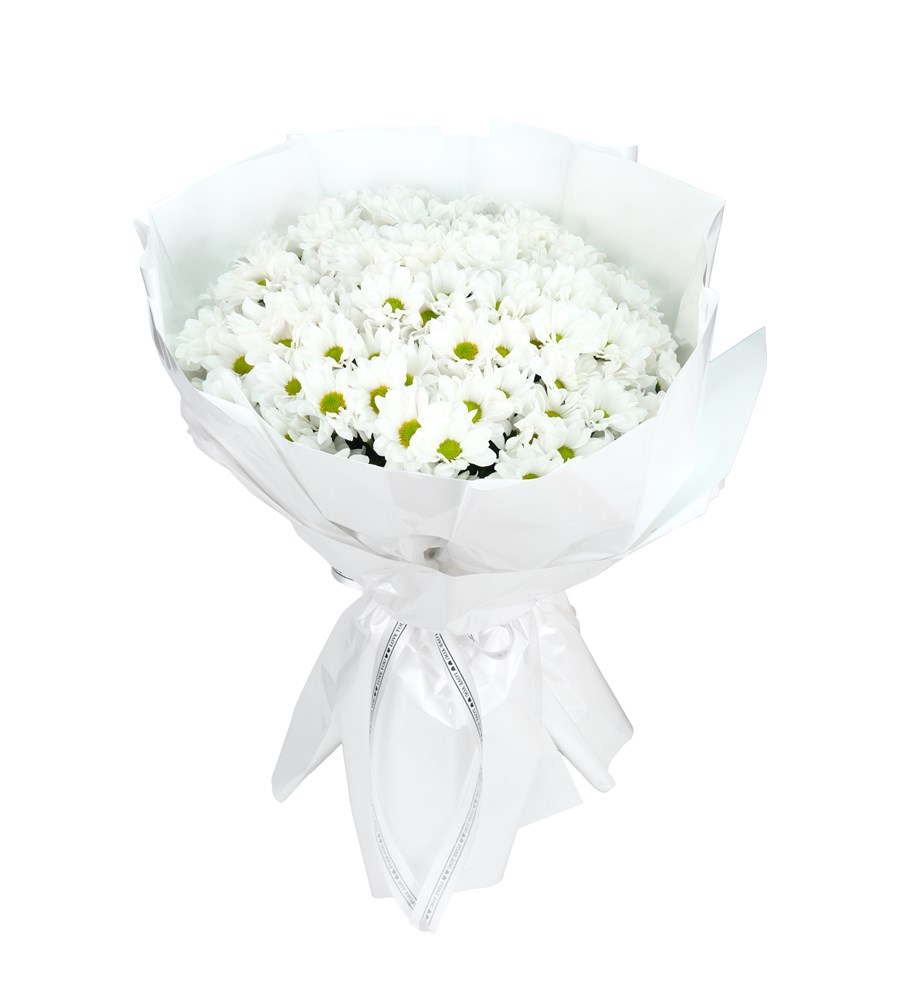 Dev Papatya Buketi – Daisy