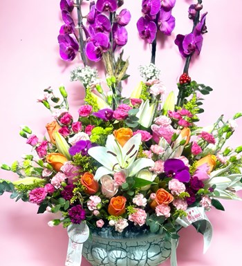 Deluxe Magic Purple Orkide