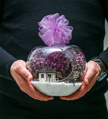 Teraryum Işıklı Düş Bahçesi