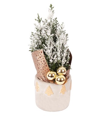 Lilyana Flowers - Gri Dekoratif Saksıda Yılbaşı Ağacı
