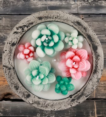 Doğal Soya Wax Kayıp Hazineler Mix Sukulent Dekoratif Mum