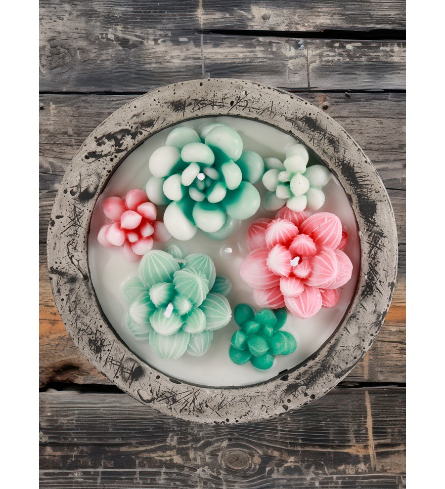 Doğal Soya Wax Kayıp Hazineler Mix Sukulent Dekoratif Mum