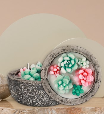 Doğal Soya Wax Kayıp Hazineler Mix Sukulent Dekoratif Mum