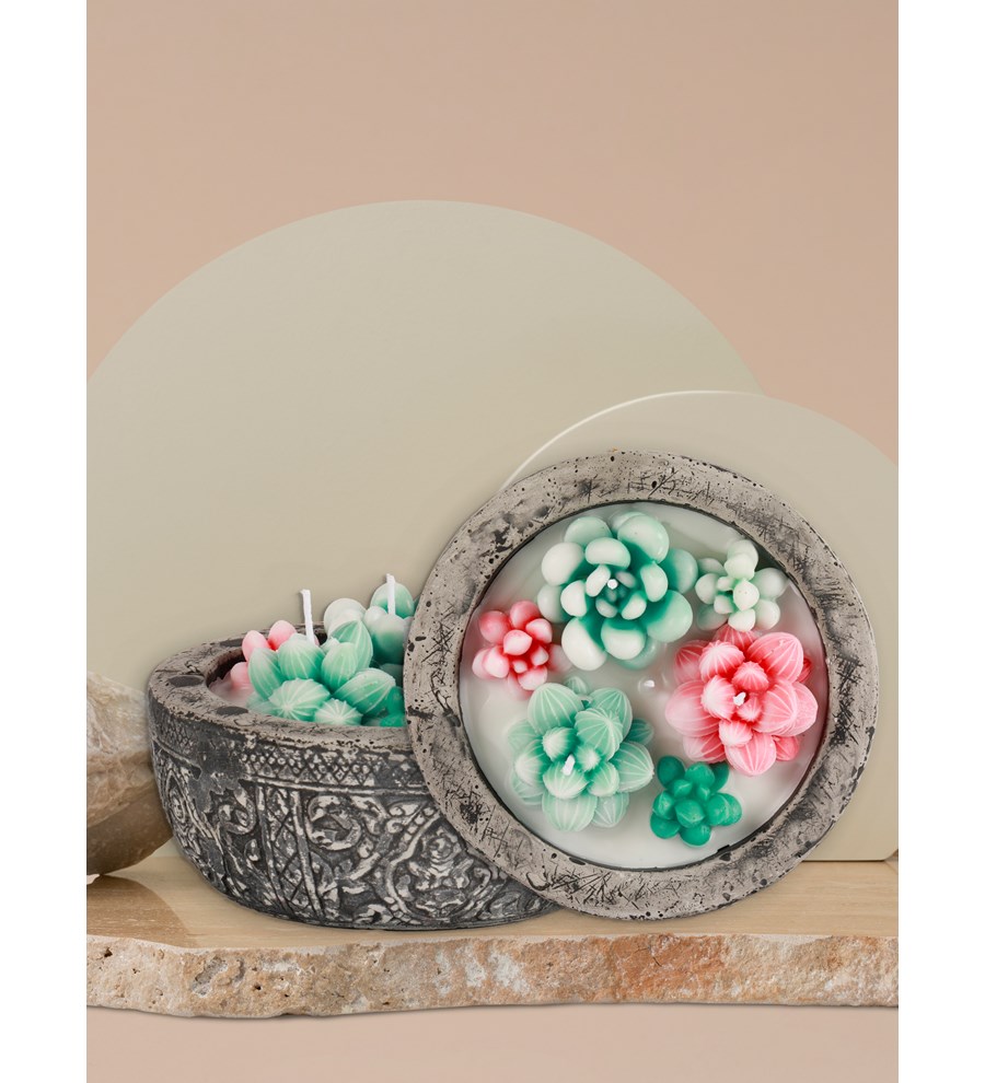 Doğal Soya Wax Kayıp Hazineler Mix Sukulent Dekoratif Mum