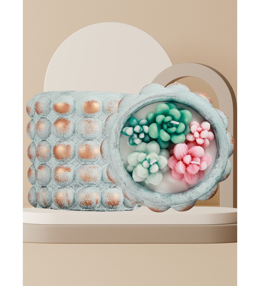 Doğal Soya Wax Sweet Candy Serisi Mix Sukulent Dekorafif Mum