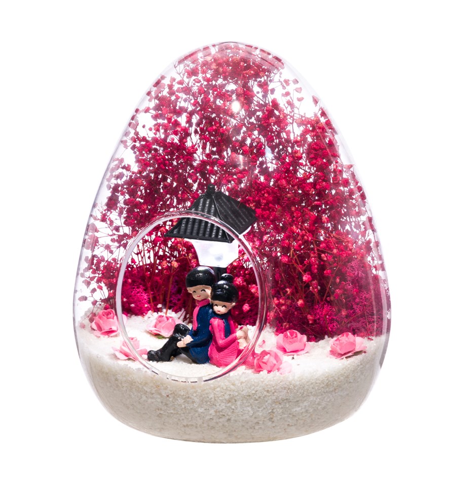 Teraryum Hayat Işıgım-Pembe