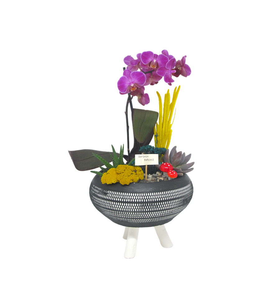 Mini Orkide ve Sukulent Dekoratif Ayaklı