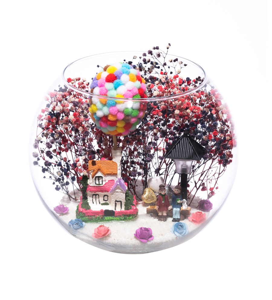 Teraryum Balonlu Ev Işıklı-Cipsomiks