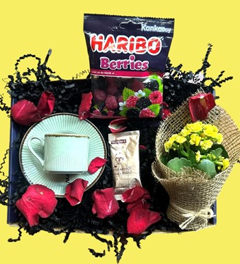 Mini Gift Box