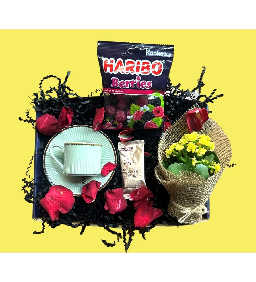 Mini Gift Box