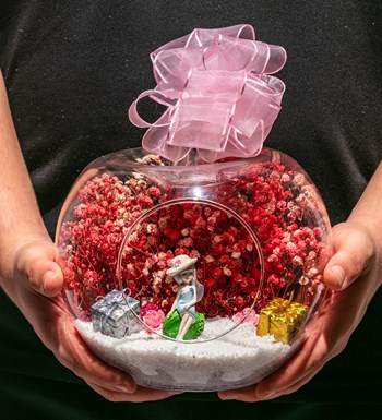 Teraryum Mutlu Yıllar Canım Arkadaşım -Pembe- Şirin Kız - Mavi Elbiseli