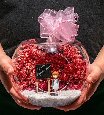 Teraryum Canım Öğretmenim - Pembe - Sarışın Mavi Elbiseli