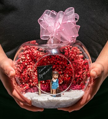 Teraryum Canım Öğretmenim - Pembe -Kumral Mavi Elbiseli