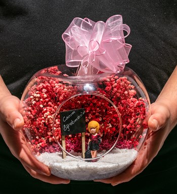 Teraryum Canım Öğretmenim - Pembe - Sarışın Bordo Elbiseli