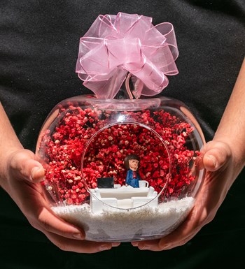 Teraryum Yeni İşinde Başarılar - Pembe - Esmer Lacivert Elbiseli