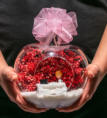 Teraryum Yeni İşinde Başarılar - Pembe - Sarışın Bordo Elbiseli