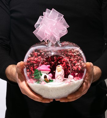 Teraryum Hoş Geldin Bebek Kız-Kundağa Sarılı