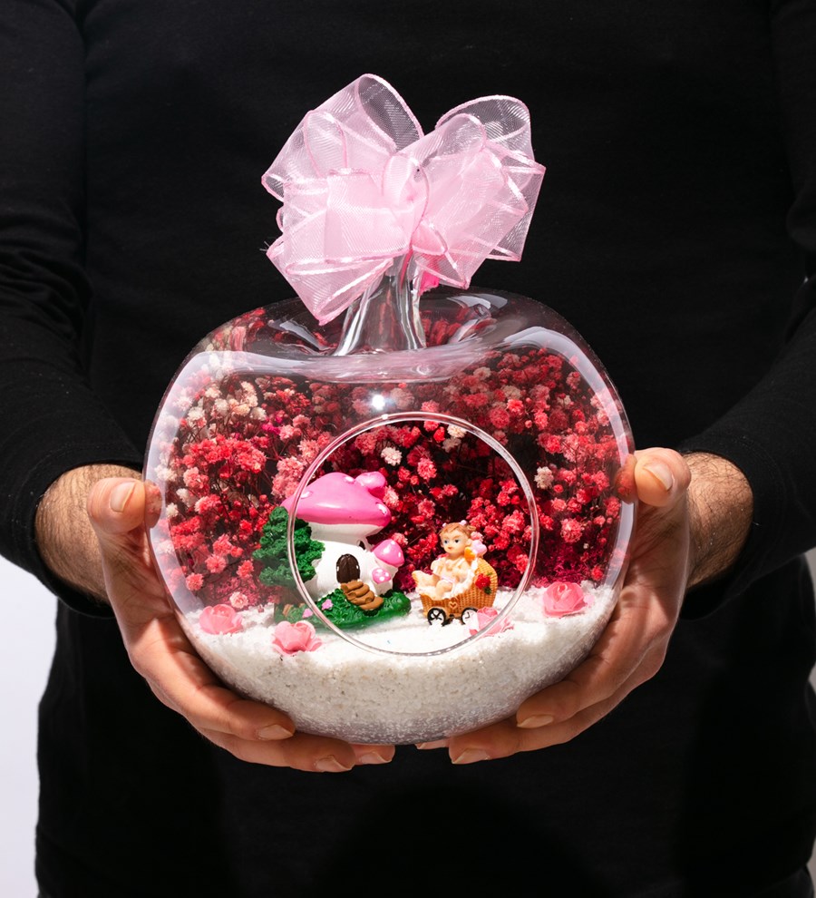 Teraryum Hoş Geldin Bebek-Şirin  Kız-Arabalı