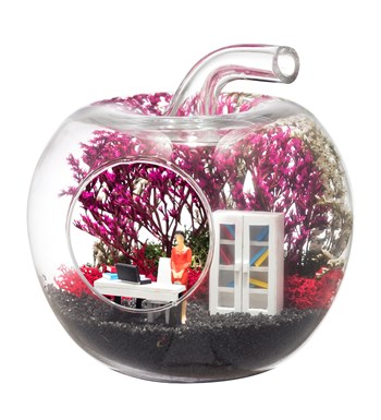 Teraryum Mini Yeni İş Kadın