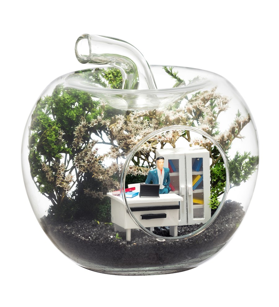 Teraryum Mini Yeni İş Erkek