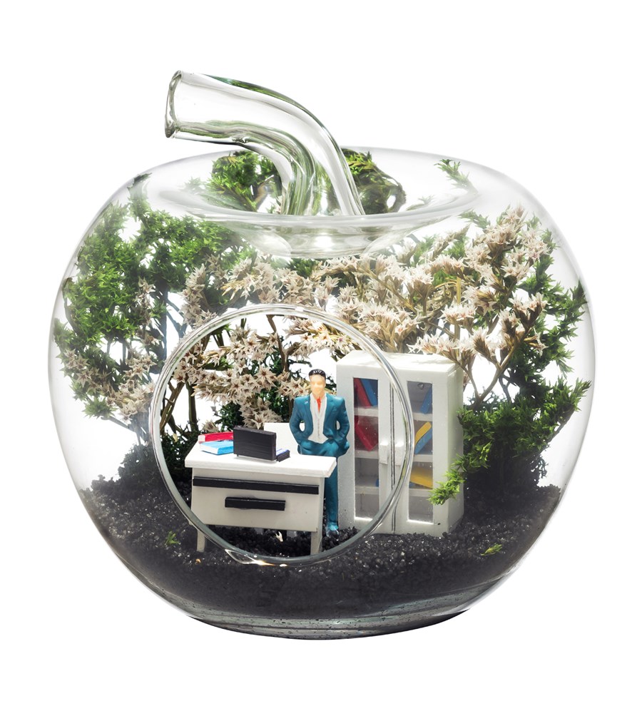 Teraryum Mini Yeni İş Erkek