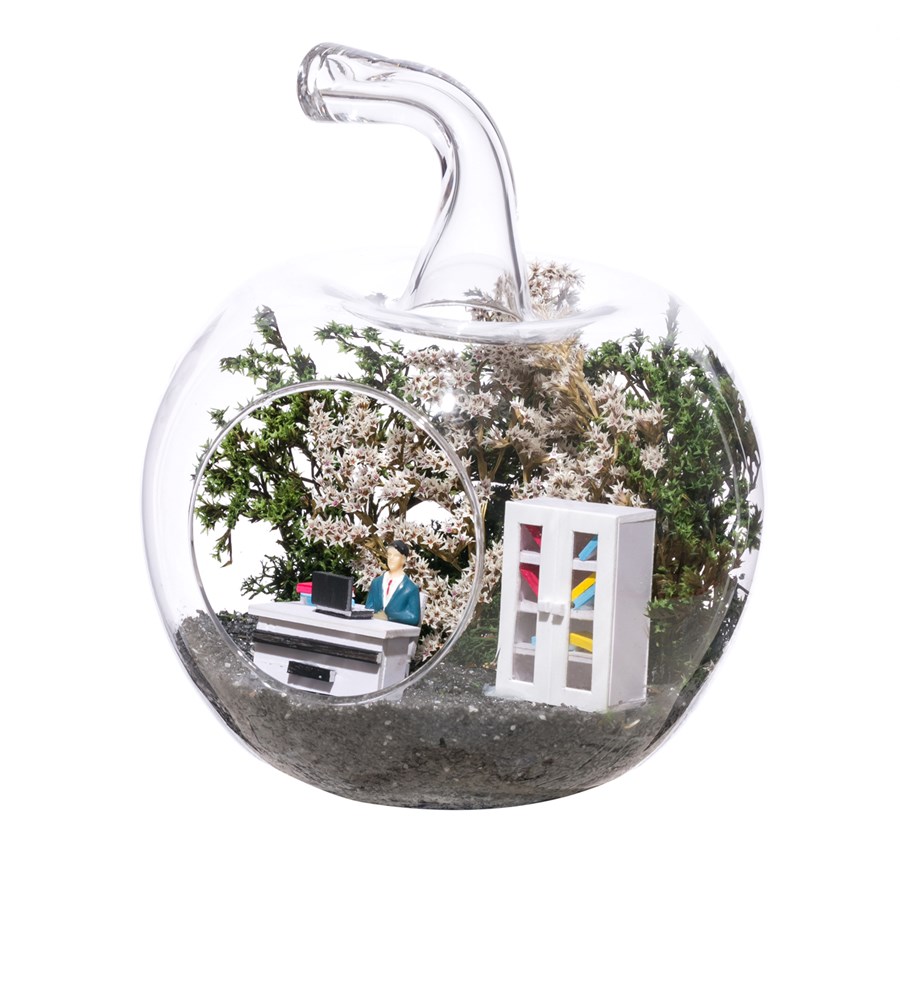 Teraryum Yeni İş Ofis Erkek Objeli