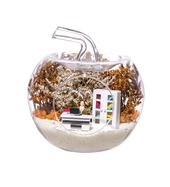 Teraryum Mini Ofis Erkek Objeli