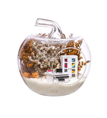 Teraryum Mini Ofis Erkek Objeli