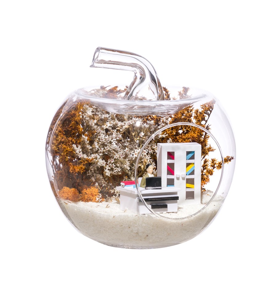 Teraryum Mini Ofis Erkek Objeli